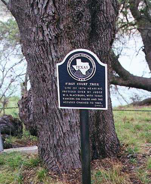 Kimble Court Oaks-recent